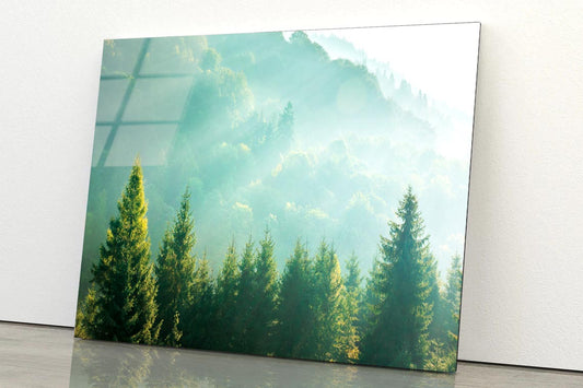 Wonderful Nature Background with Sunlight Acrylic Glass Print Tempered Glass Wall Art 100% Made in Australia Ready to Hang