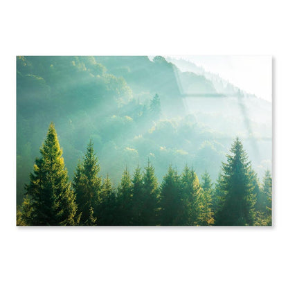 Wonderful Nature Background with Sunlight Acrylic Glass Print Tempered Glass Wall Art 100% Made in Australia Ready to Hang