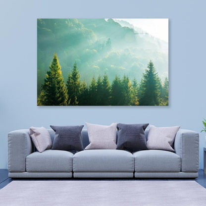 Wonderful Nature Background with Sunlight Acrylic Glass Print Tempered Glass Wall Art 100% Made in Australia Ready to Hang