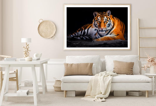 Closeup Of Siberian Tiger  Home Decor Premium Quality Poster Print Choose Your Sizes