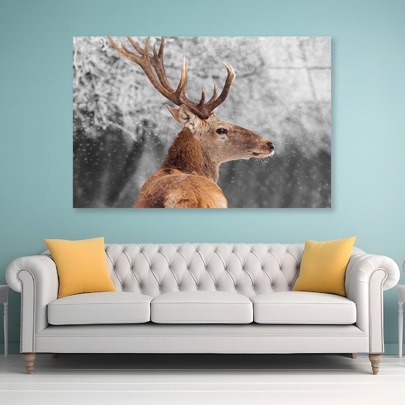 Red Deer in Winter Acrylic Glass Print Tempered Glass Wall Art 100% Made in Australia Ready to Hang