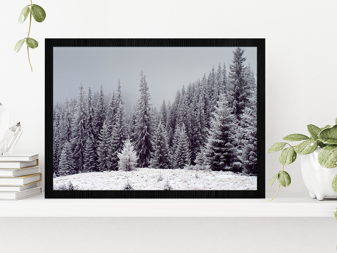 Trees Covered With Fresh Snow Glass Framed Wall Art, Ready to Hang Quality Print Without White Border Black