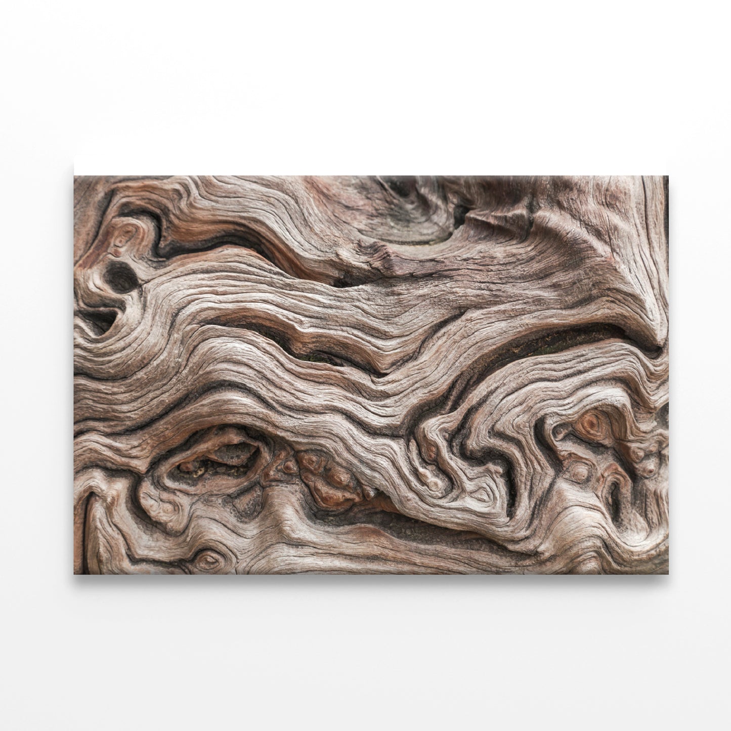 Textured Dead Natural Wood Art Print 100% Australian Made - Bella Home Decor