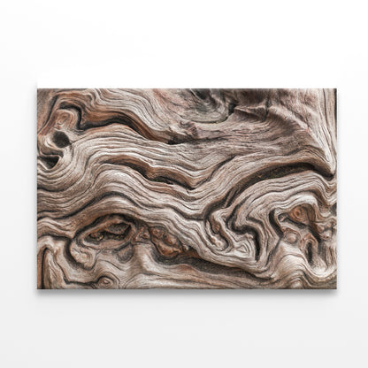 Textured Dead Natural Wood Art Print 100% Australian Made - Bella Home Decor