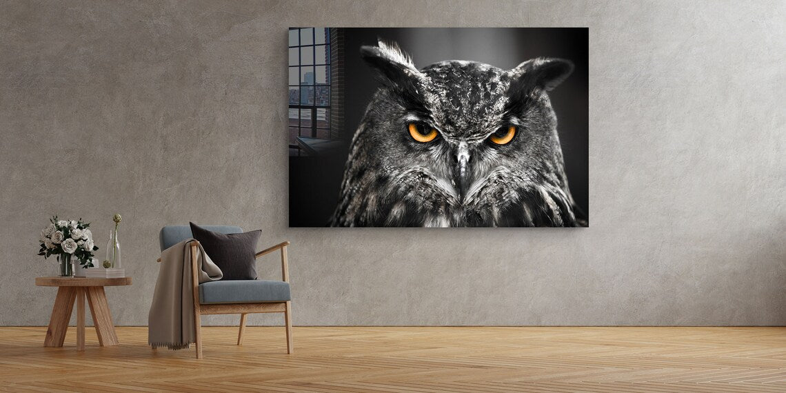 Yellow Eyes Owl B&W UV Direct Aluminum Print Australian Made Quality