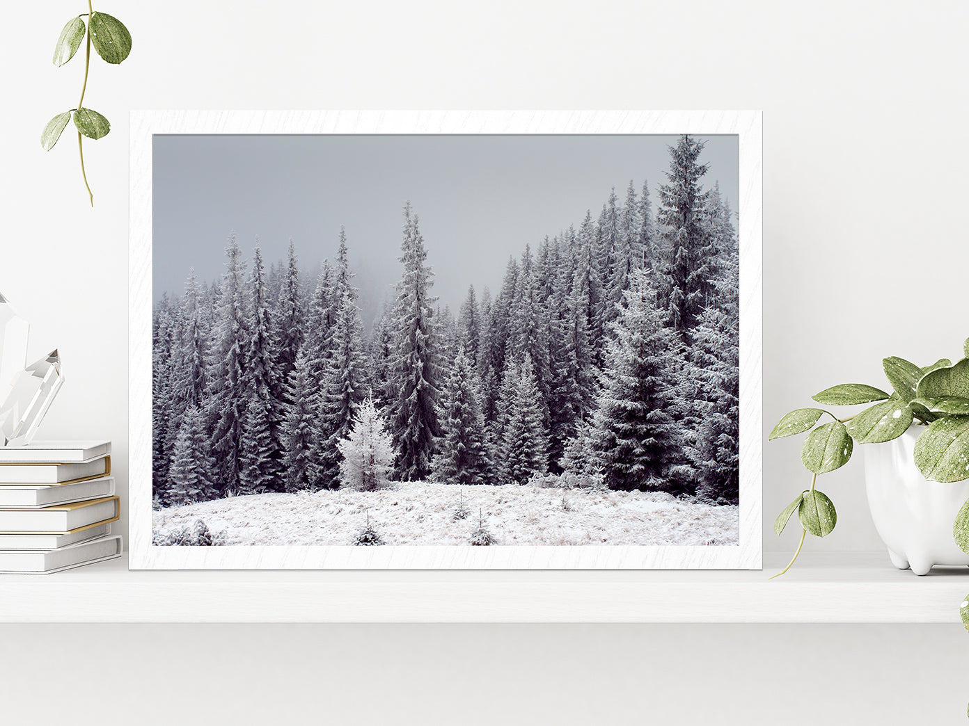 Trees Covered With Fresh Snow Glass Framed Wall Art, Ready to Hang Quality Print Without White Border White