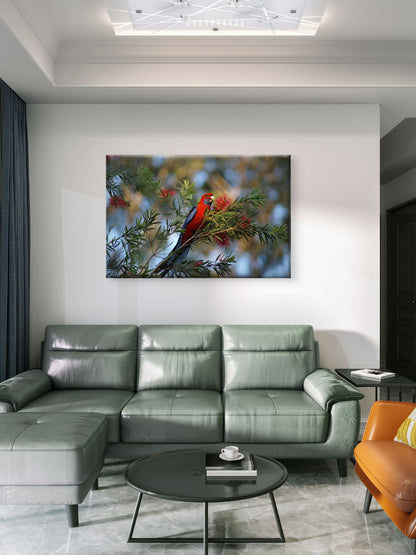 Crimson Rosella Australian Bird Wall Art Decor 100% Australian Made