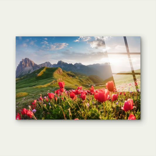 Italian Alps Blooming Meadow Glass Printing Wall Art Australian Made Quality