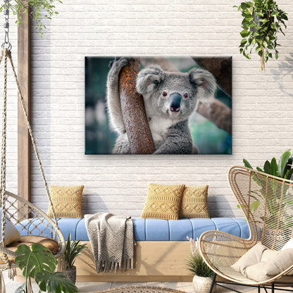 Fluffy Gray Koala Bear on Tree Branch Wall Art Decor 100% Australian Made