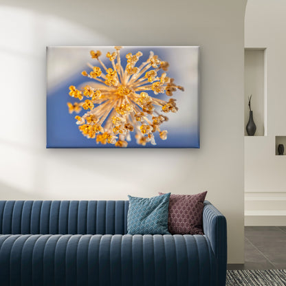 Ice Crystals Round Seedhead with Dried Flower Wall Art Decor 100% Australian Made - Bella Home Decor