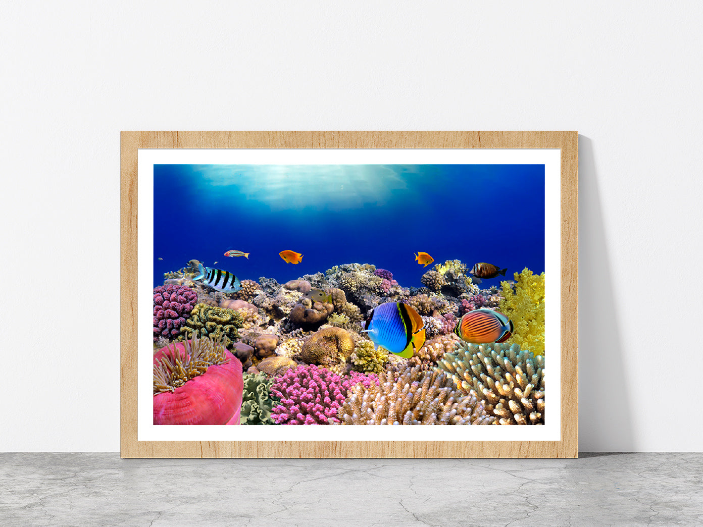 Underwater World & Coral Fishes Glass Framed Wall Art, Ready to Hang Quality Print With White Border Oak