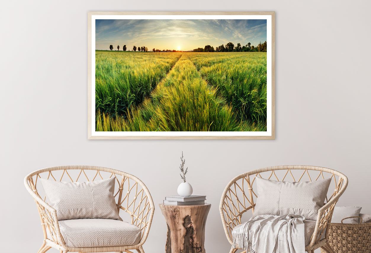 Wheat Field, Sunset & Trees Home Decor Premium Quality Poster Print Choose Your Sizes