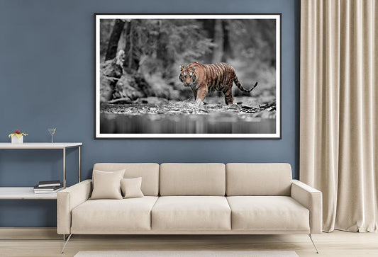 Blue Eye Tiger Decor Premium Quality Poster Print Choose Your Sizes