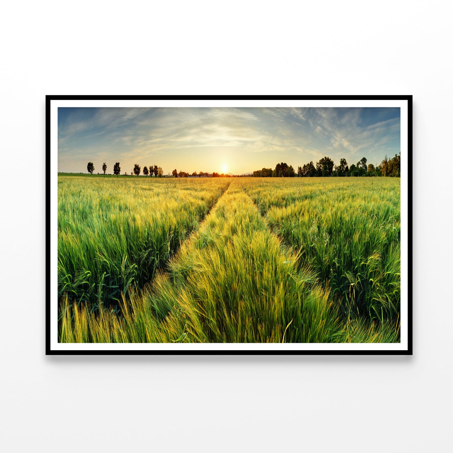 Wheat Field, Sunset & Trees Home Decor Premium Quality Poster Print Choose Your Sizes