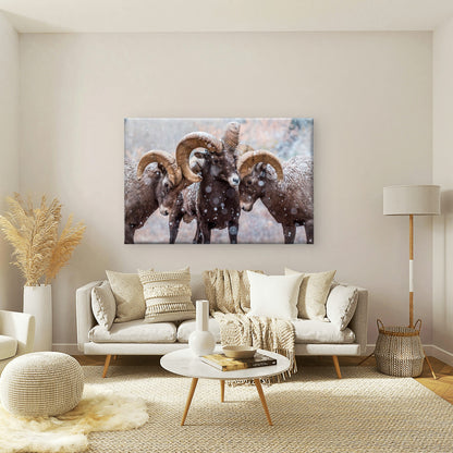 Bighorn Sheep Rams in North American Snow Wall Art Decor 100% Australian Made