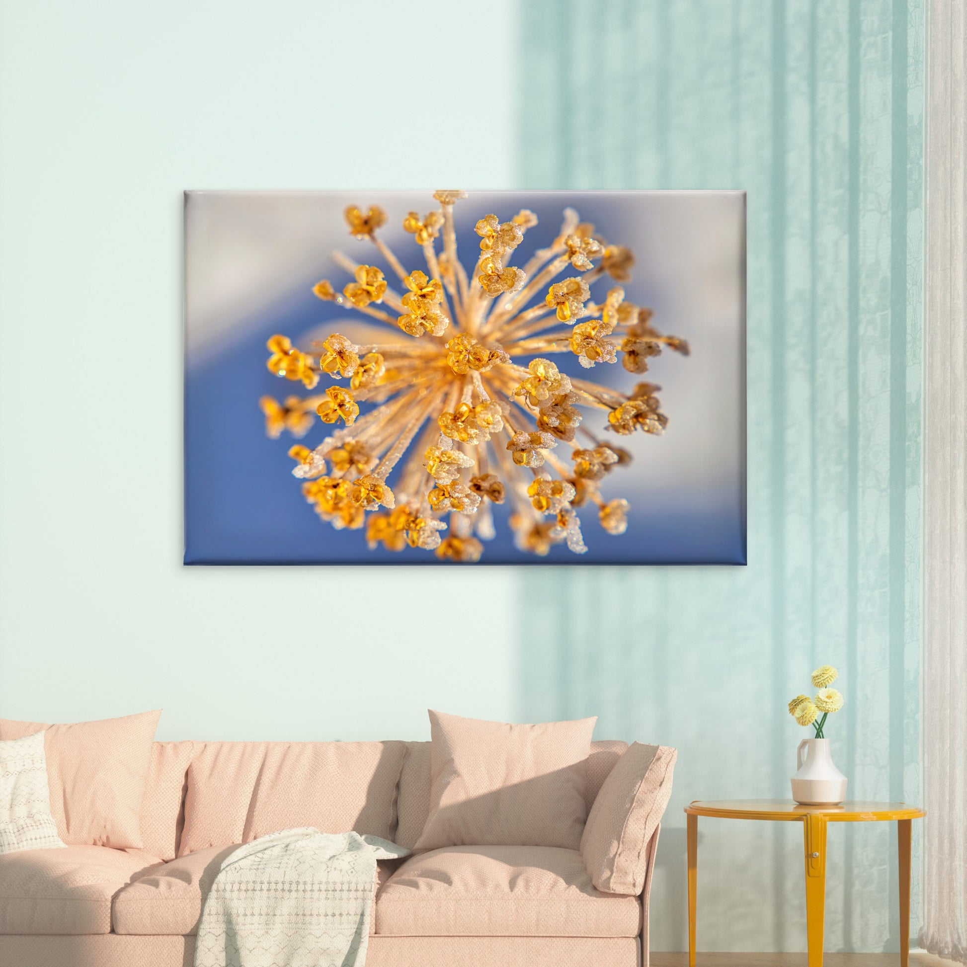 Ice Crystals Round Seedhead with Dried Flower Wall Art Decor 100% Australian Made - Bella Home Decor