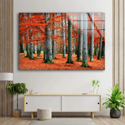 Red Leaves Tree Forest UV Direct Aluminum Print Australian Made Quality