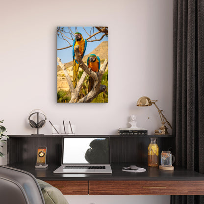 Blue and Yellow Macaw Parrots on Branch 40x60cm Metal Print Ready to Hang