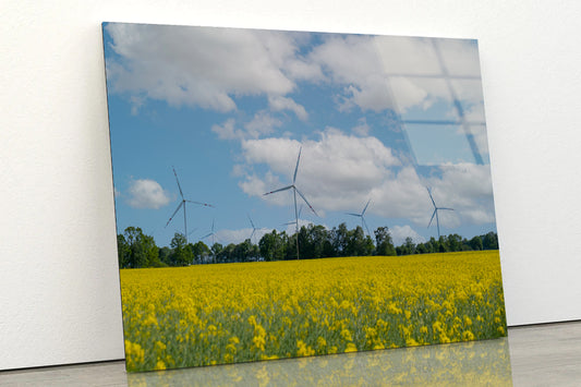 Rapeseed Plant and Wind Turbines Acrylic Glass Print Tempered Glass Wall Art 100% Made in Australia Ready to Hang - Bella Home Decor