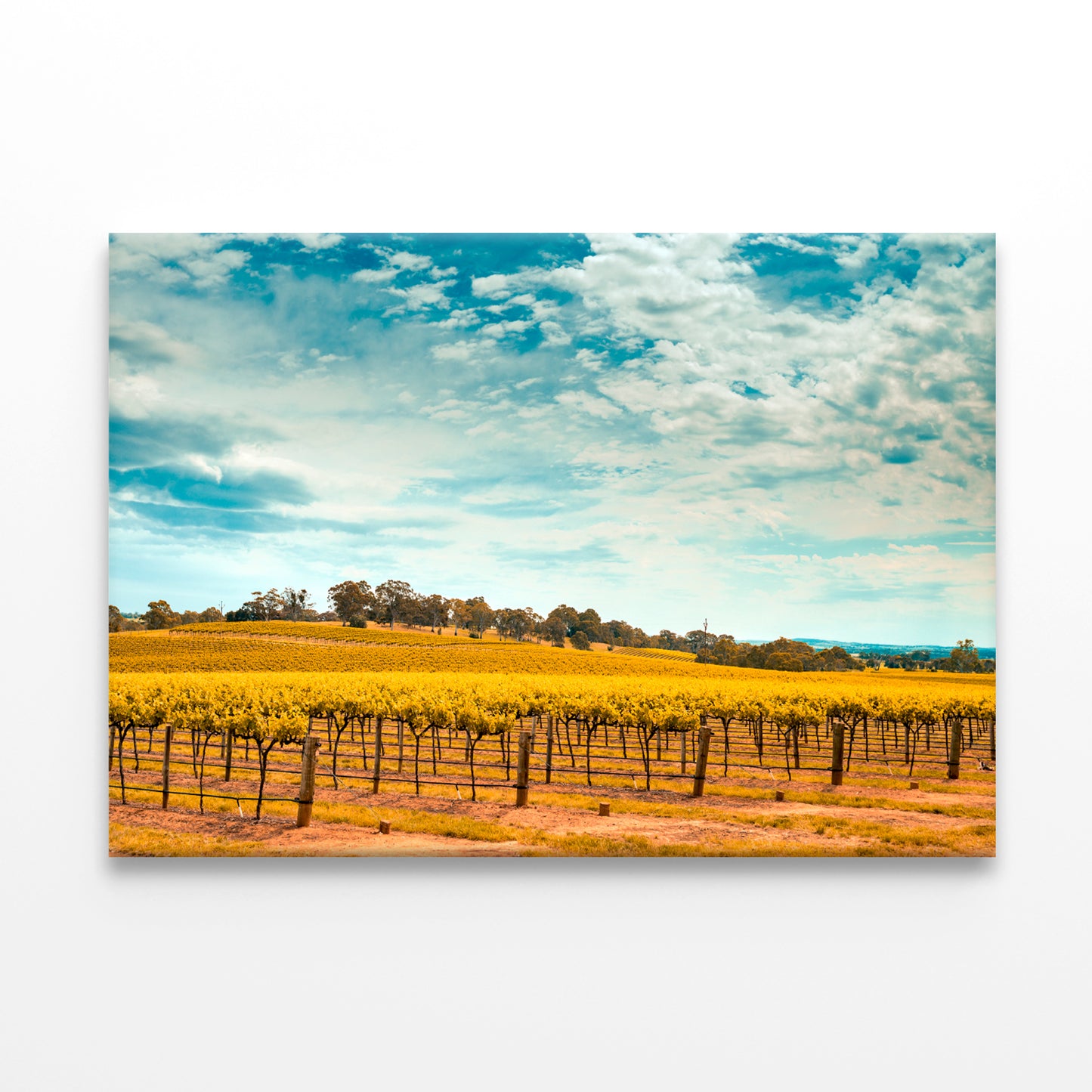 Picturesque Barossa Valley South Australia Vineyard Wall Art Decor 100% Australian Made