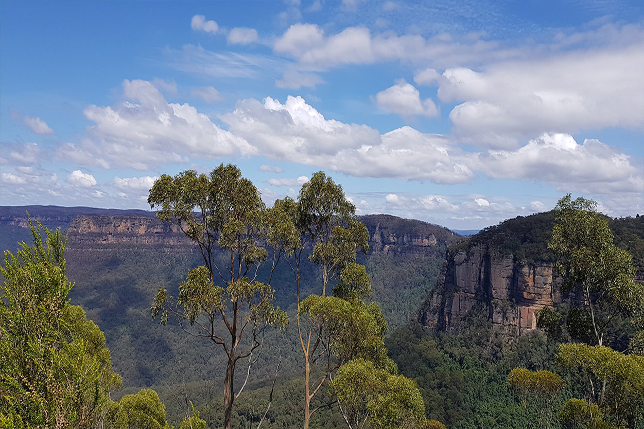 Blue Mountains National Park NSW Scenic Panorama Wall Art Decor 100% Australian Made