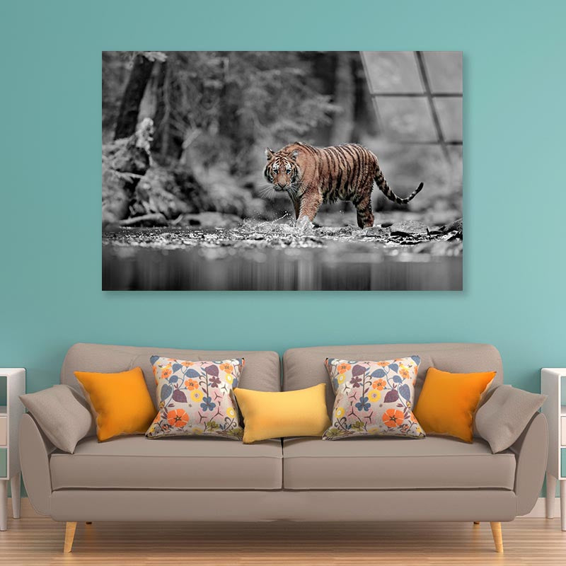 Blue Eye Tiger Acrylic Glass Print Tempered Glass Wall Art 100% Made in Australia Ready to Hang