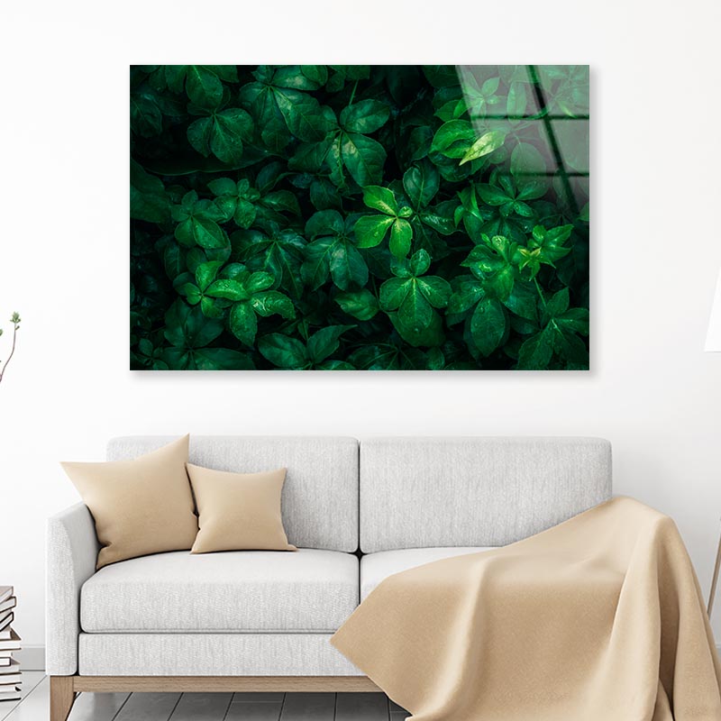 Foliage Of Tropical Leaf Acrylic Glass Print Tempered Glass Wall Art 100% Made in Australia Ready to Hang - Bella Home Decor