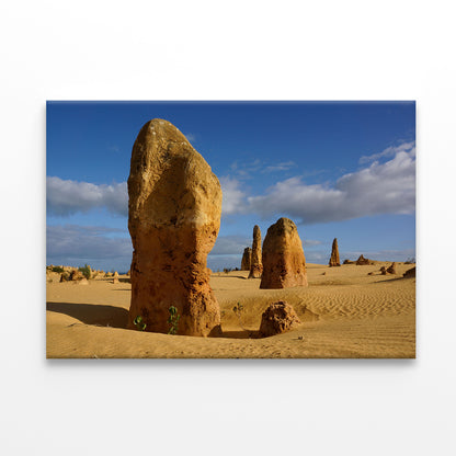 The Pinnacles Desert Western Australia Stone Formations Wall Art Decor 100% Australian Made