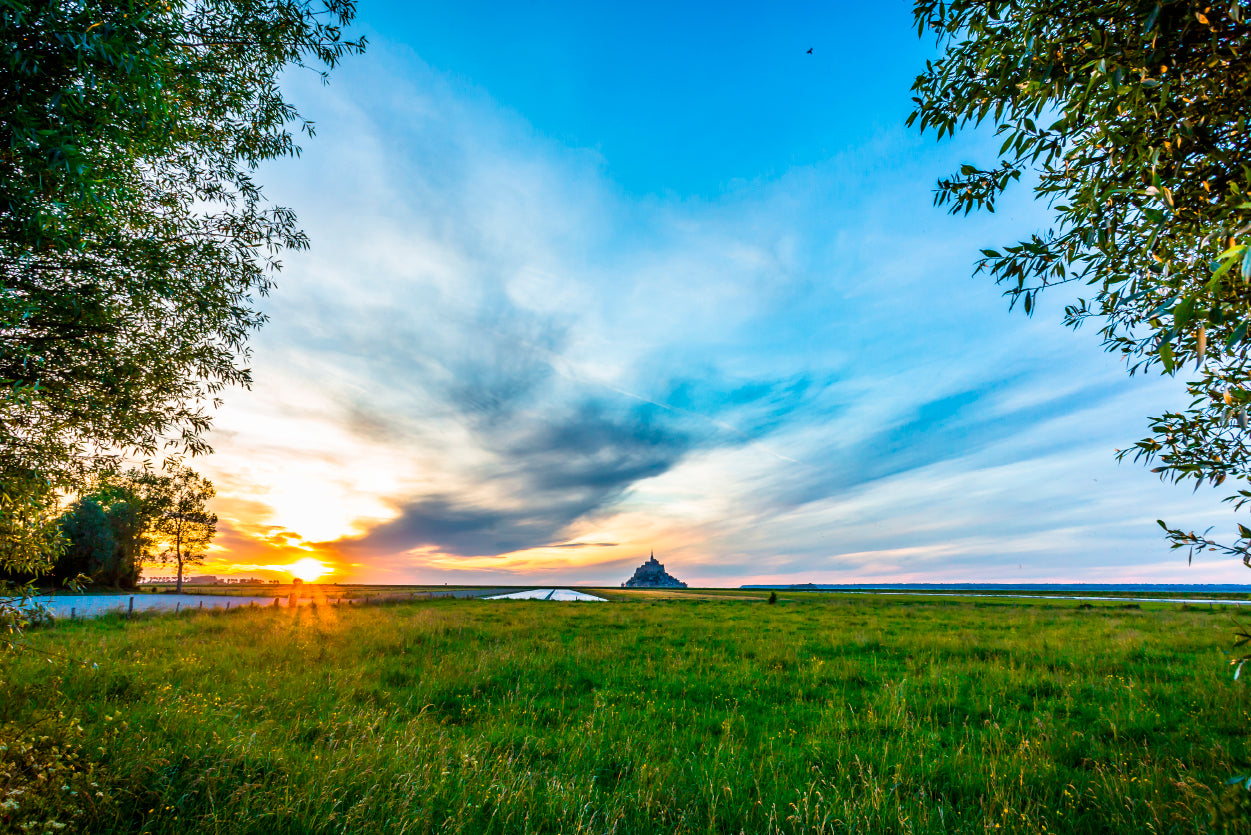 A Grassy Field under a Cloudy Sky Home Decor Premium Quality Poster Print Choose Your Sizes - Bella Home Decor