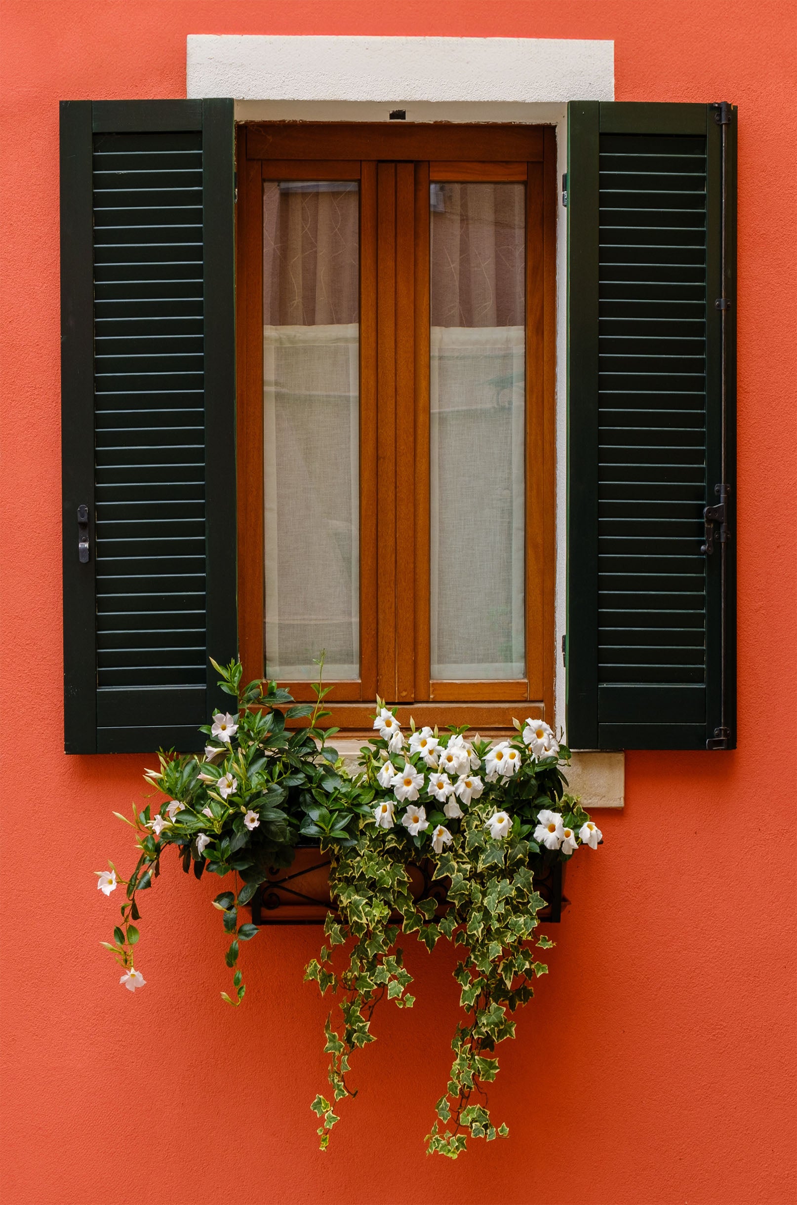 Red Wall Window Flower Box 40x60cm Metal Print Ready to Hang - Bella Home Decor