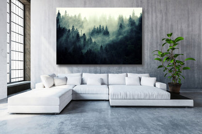 Misty Fir Tree Forest Acrylic Glass Print Tempered Glass Wall Art 100% Made in Australia Ready to Hang