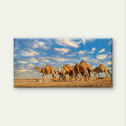 Sahara Desert Camel Caravan Safari Sunset Wall Art Canvas Office Home Framed 120x60cm