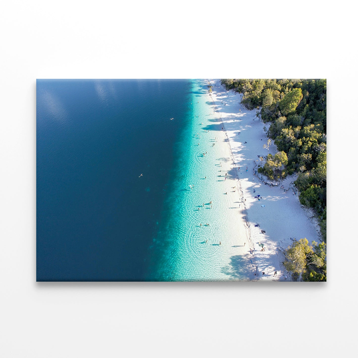 Fraser Island K’gari Queensland Lake McKenzie Wall Art Decor 100% Australian Made