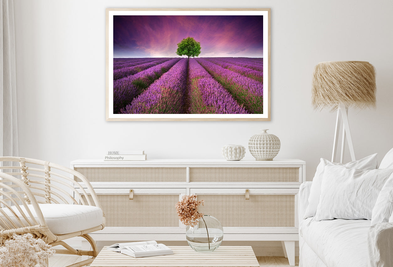 Stunning Lavender Field Sunset with Single Tree Home Decor Premium Quality Poster Print Choose Your Sizes