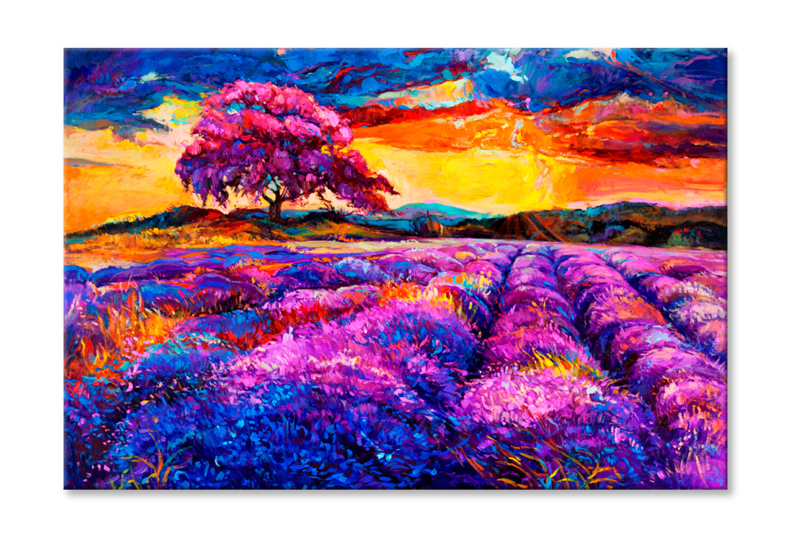 Lavender fields Oil Painting Wall Art Limited Edition High Quality Print Stretched Canvas None