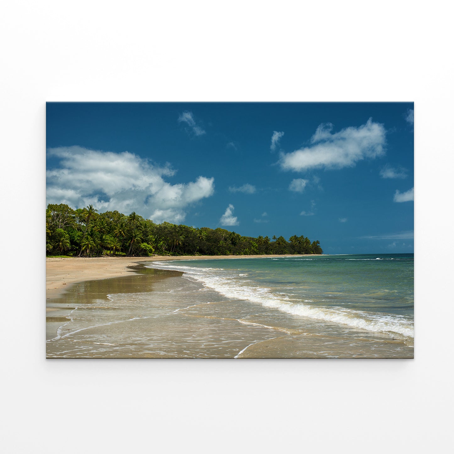Daintree Rainforest Queensland Beach and Reef Wall Art Decor 100% Australian Made
