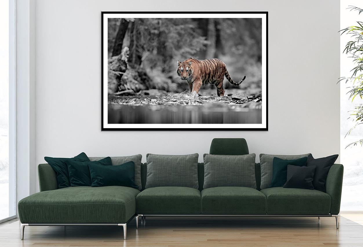 Blue Eye Tiger Decor Premium Quality Poster Print Choose Your Sizes