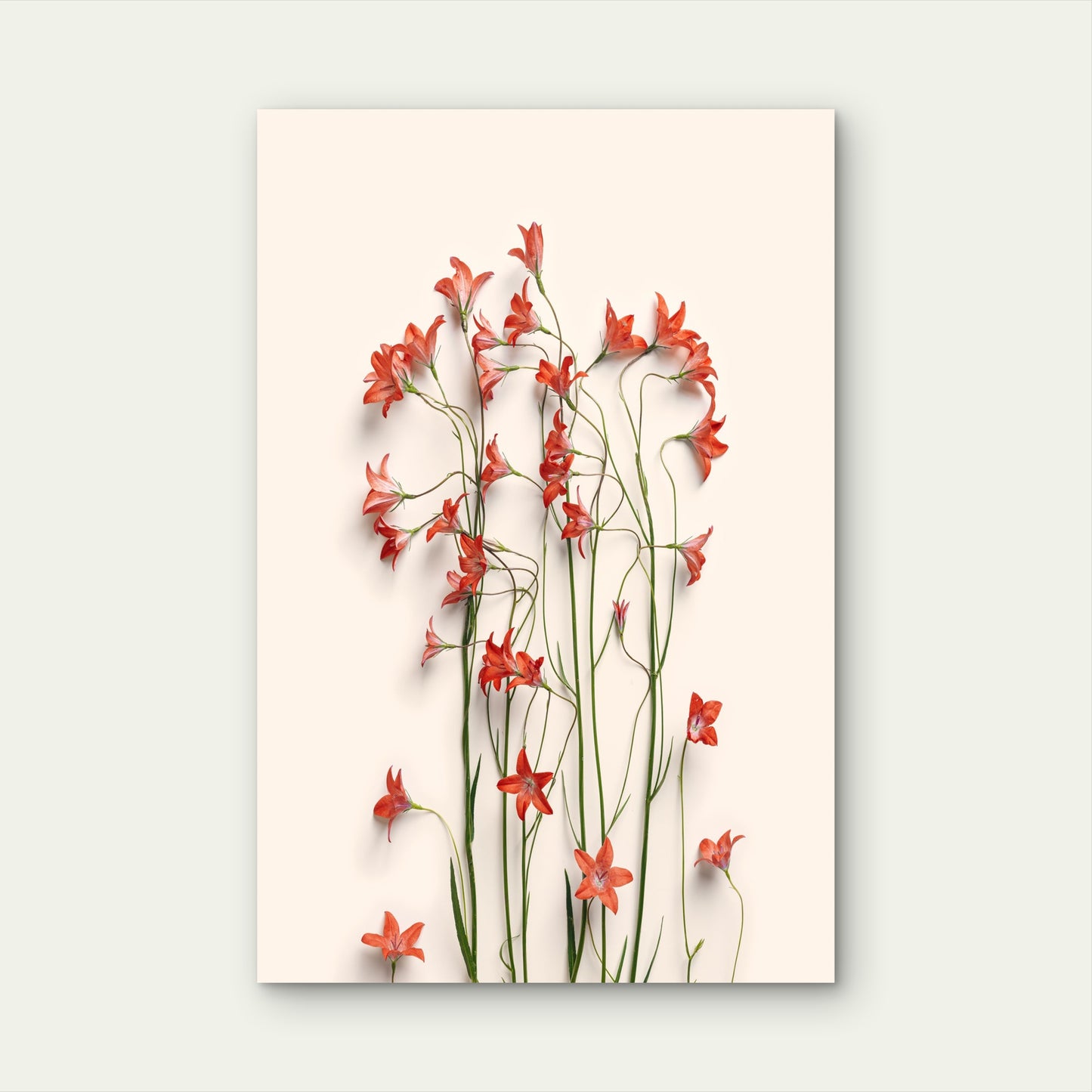 Orange Wildflowers Bouquet 40x60cm Metal Print Ready to Hang