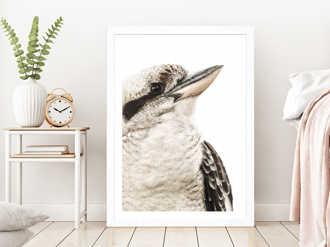 Kookaburra Bird Closeup Side View Photograph Glass Framed Wall Art, Ready to Hang Quality Print With White Border White