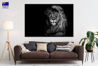 Lion King Isolated on Black Portrait Wildlife Animal Wall Art Decor 100% Australian Made