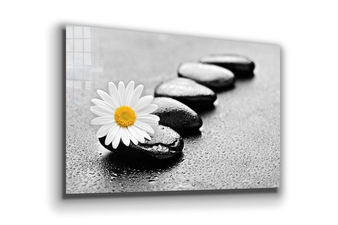 White Daisy & Stone UV Direct Aluminum Print Australian Made Quality