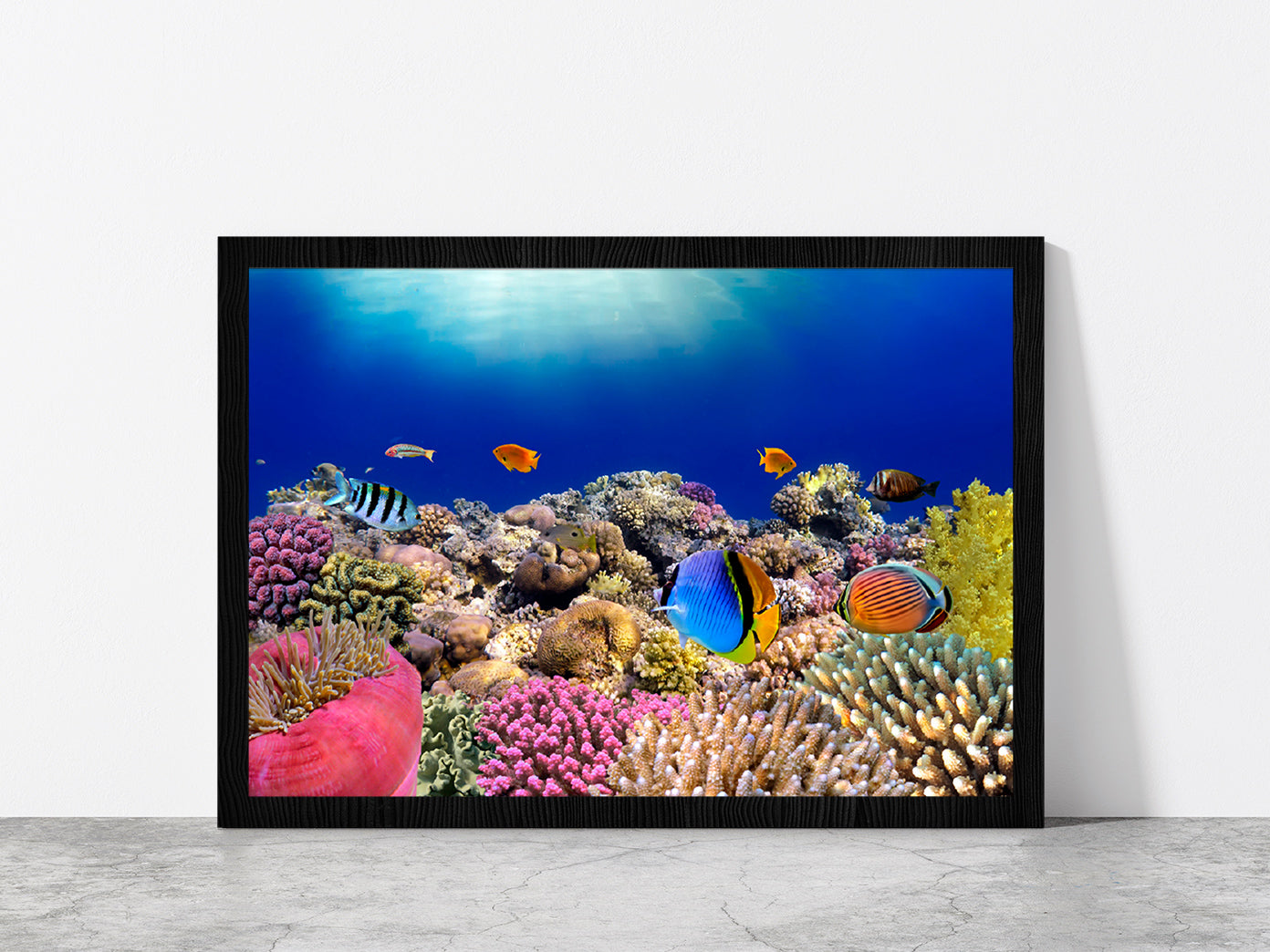 Underwater World & Coral Fishes Glass Framed Wall Art, Ready to Hang Quality Print Without White Border Black