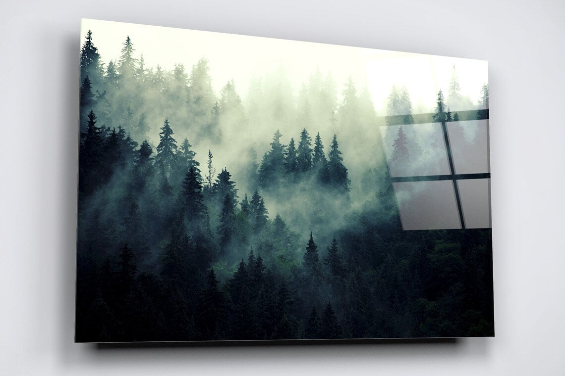 Misty Fir Tree Forest Acrylic Glass Print Tempered Glass Wall Art 100% Made in Australia Ready to Hang