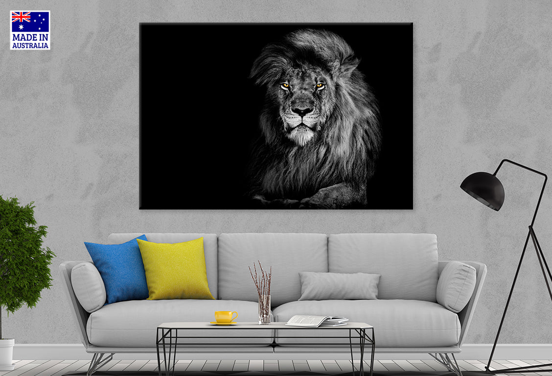 Lion King Isolated on Black Portrait Wildlife Animal Wall Art Decor 100% Australian Made
