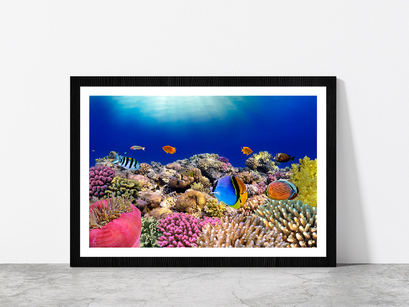 Underwater World & Coral Fishes Glass Framed Wall Art, Ready to Hang Quality Print With White Border Black