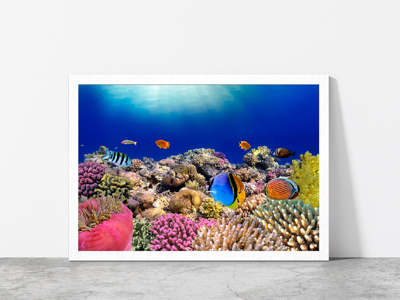 Underwater World & Coral Fishes Glass Framed Wall Art, Ready to Hang Quality Print Without White Border White