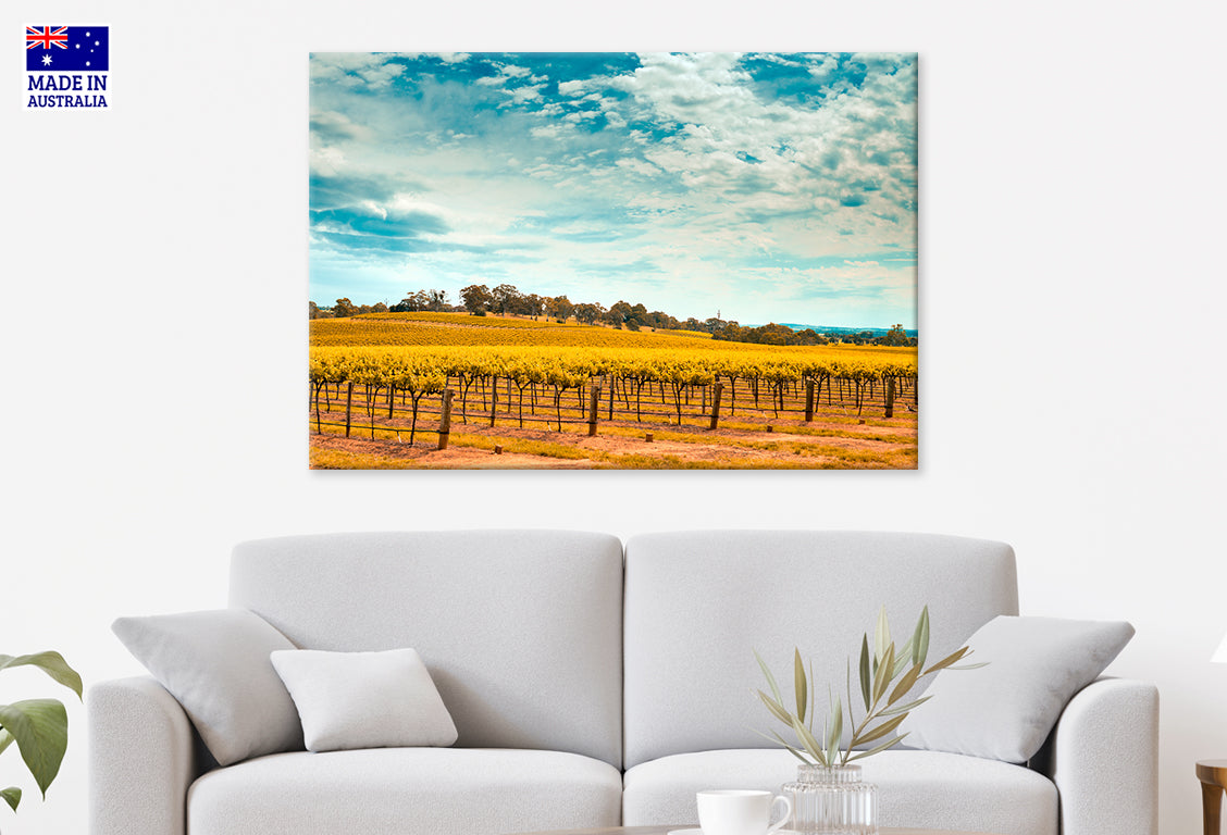 Picturesque Barossa Valley South Australia Vineyard Wall Art Decor 100% Australian Made