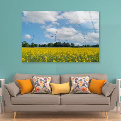 Rapeseed Plant and Wind Turbines Acrylic Glass Print Tempered Glass Wall Art 100% Made in Australia Ready to Hang - Bella Home Decor