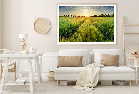 Wheat Field, Sunset & Trees Home Decor Premium Quality Poster Print Choose Your Sizes