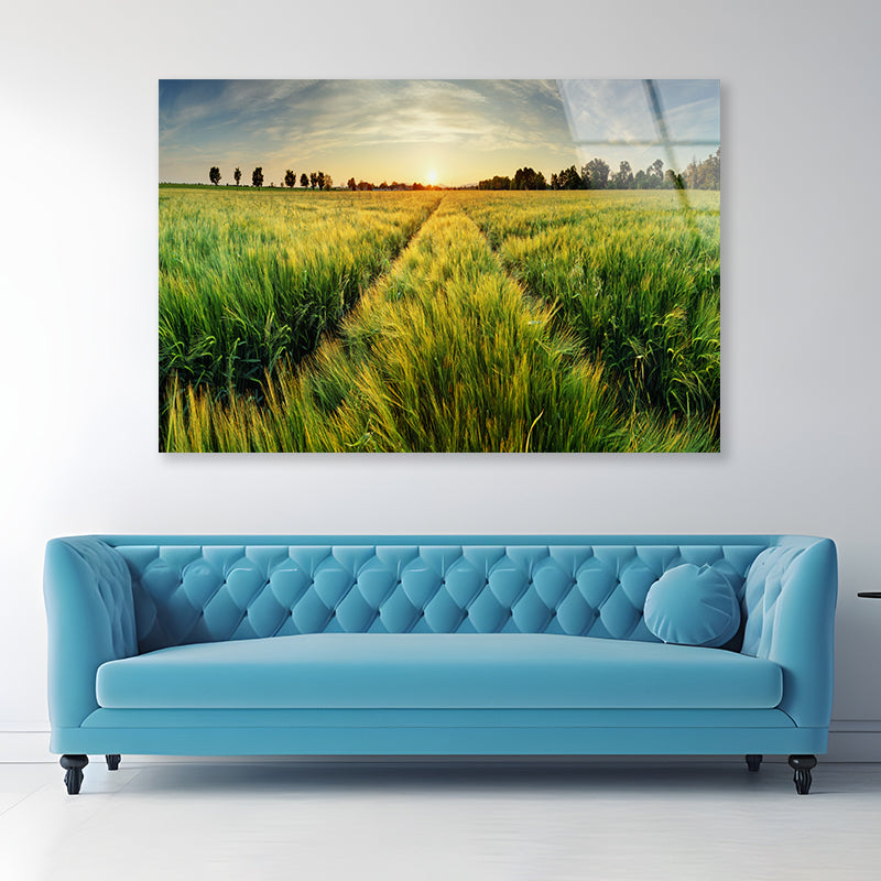 Wheat Field, Sunset & Trees Acrylic Glass Print Tempered Glass Wall Art 100% Made in Australia Ready to Hang - Bella Home Decor